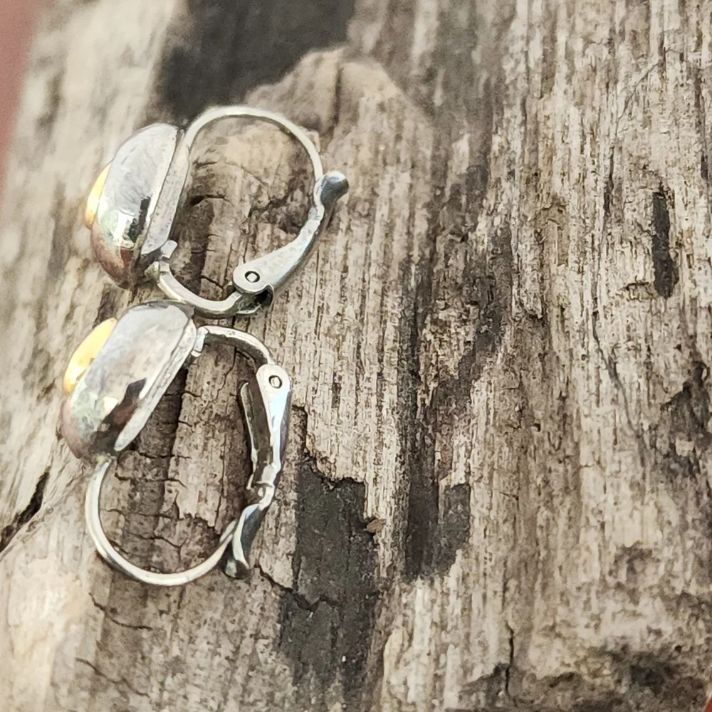 Two Toned Silver Toned and Gold Toned Circle Lever Back Earrings